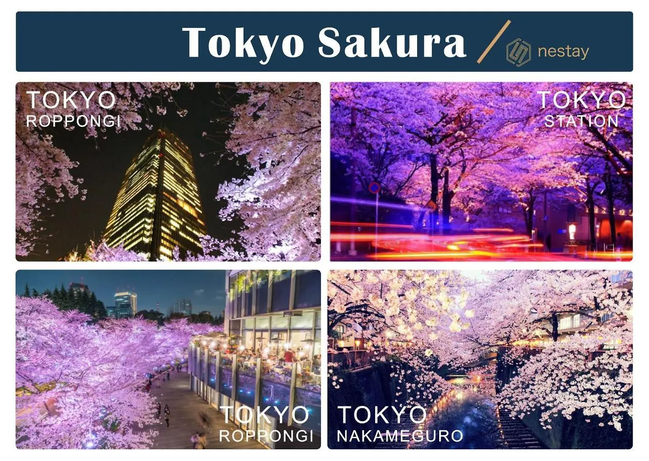 Nestay Villa Tokyo Shinjuku
