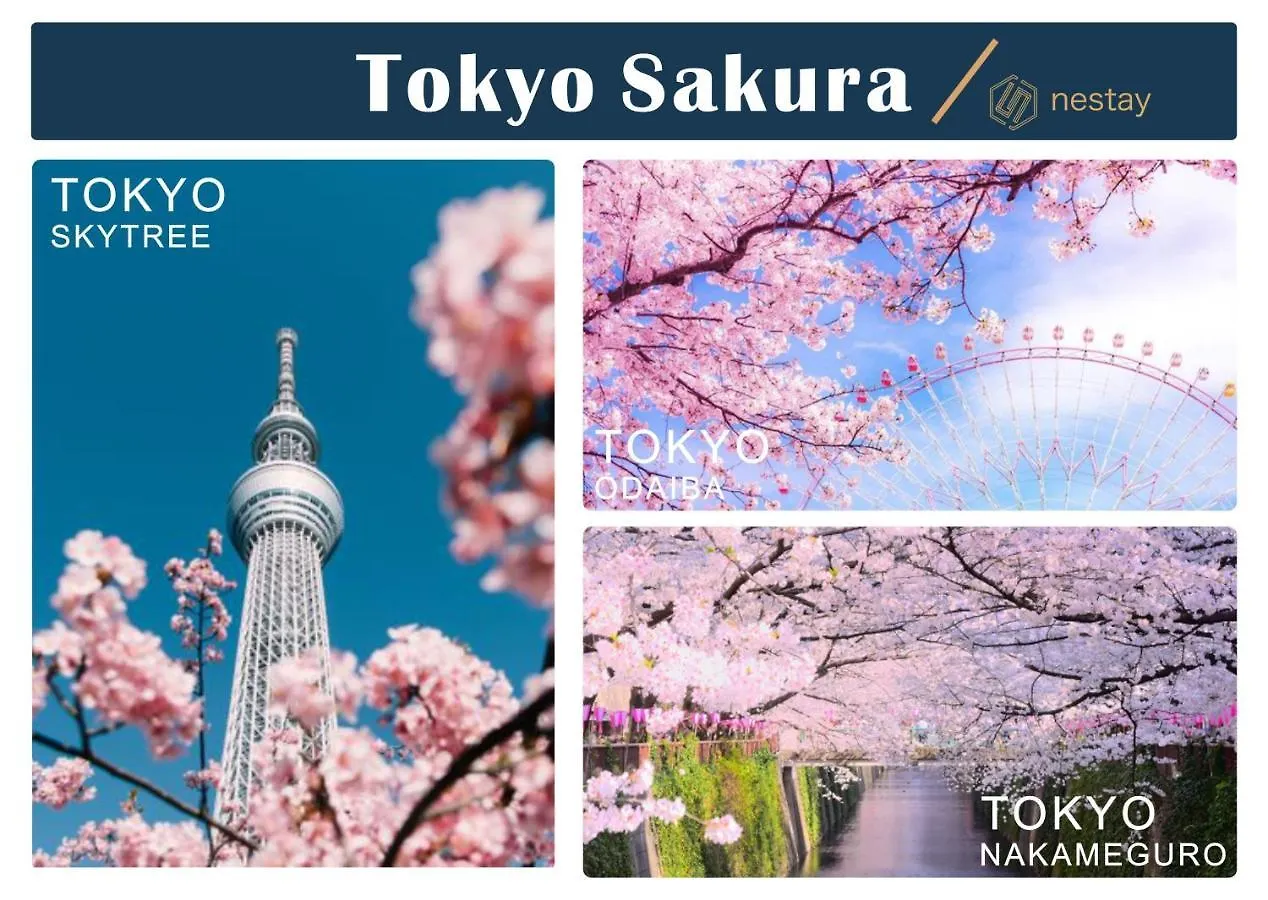 Nestay Villa Tokyo Shinjuku 0*,  Japan